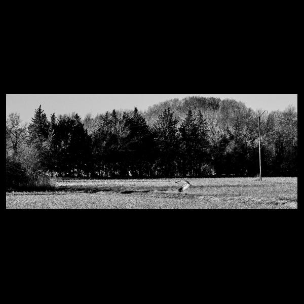 PHOTO84, CLUB, 84 , LUBERON